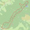 Trace GPS Raquettes vers la Tête des Faux - Orbey, itinéraire, parcours