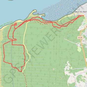 Trace GPS Singles de la Forêt de Ronces les bains (17), itinéraire, parcours